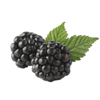 [removal.ai]_b2a7e3ac-f94c-4331-aa80-6b6cf228a5d9-istockphoto-173612468-612x612